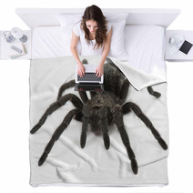 Tarantula Spider- Grammostola Pulchra Blankets 63229508