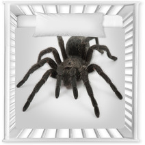 Tarantula Spider- Grammostola Pulchra Nursery Decor 63229508