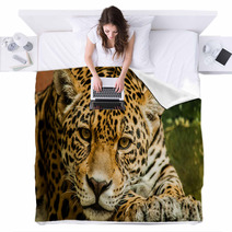 Taunting The Jaguar 2 Blankets 92771046