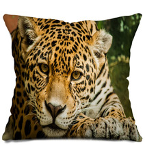 Taunting The Jaguar 2 Pillows 92771046