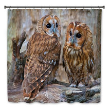 Tawny Owls Bath Decor 42945703