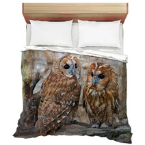 Tawny Owls Bedding 42945703