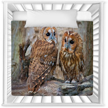 Tawny Owls Nursery Decor 42945703