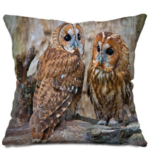 Tawny Owls Pillows 42945703