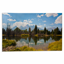 Teton Reflection In Grand Teton National Park,USA Rugs 51496281