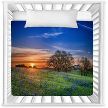 Texas Bluebonnet Wildflower Spring Field At Sunrise Nursery Decor 64044248
