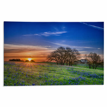 Texas Bluebonnet Wildflower Spring Field At Sunrise Rugs 64044248