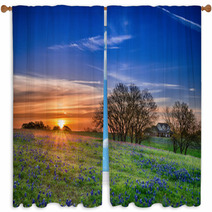 Texas Bluebonnet Wildflower Spring Field At Sunrise Window Curtains 64044248