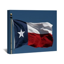 Texas Flag Wall Art 5077554