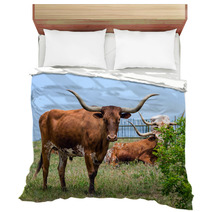 Texas Longhorn Cattle Grazing On Green Pasture Bedding 65126841