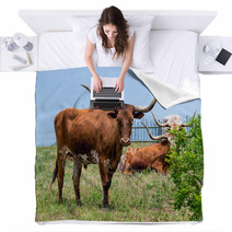 Texas Longhorn Cattle Grazing On Green Pasture Blankets 65126841