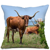 Texas Longhorn Cattle Grazing On Green Pasture Pillows 65126841