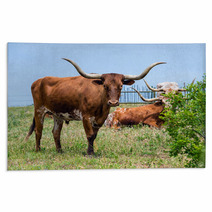 Texas Longhorn Cattle Grazing On Green Pasture Rugs 65126841