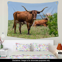 Texas Longhorn Cattle Grazing On Green Pasture Wall Art 65126841