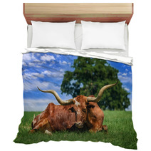 Texas Longhorn Sleeping On The Pasture Bedding 53311125