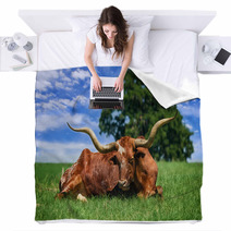 Texas Longhorn Sleeping On The Pasture Blankets 53311125