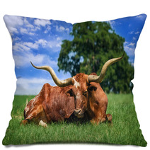 Texas Longhorn Sleeping On The Pasture Pillows 53311125