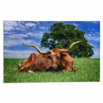 Texas Longhorn Sleeping On The Pasture Rugs 53311125