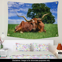 Texas Longhorn Sleeping On The Pasture Wall Art 53311125