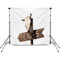 Texas Sign With Old Horse Skull Backdrops 68283337