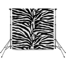 Texture Of Zebra Skin Backdrops 66786509