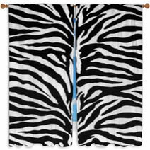 Texture Of Zebra Skin Window Curtains 66786509