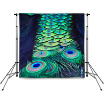 Textures And Colors Of The Peacock Backdrops 73079352