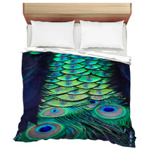 Textures And Colors Of The Peacock Bedding 73079352