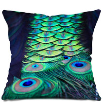Textures And Colors Of The Peacock Pillows 73079352