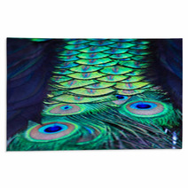Textures And Colors Of The Peacock Rugs 73079352