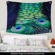 Textures And Colors Of The Peacock Wall Art 73079352