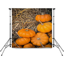 Thanksgiving Pumpkins Background Backdrops 68958511