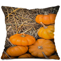 Thanksgiving Pumpkins Background Pillows 68958511