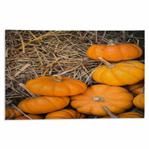 Thanksgiving Pumpkins Background Rugs 68958511