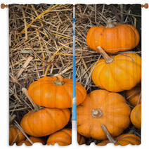 Thanksgiving Pumpkins Background Window Curtains 68958511