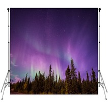 The Amazing Night Skies Over Yellowknife Northwest Territories Of Canada Putting On An Aurora Borealis Show Backdrops 98360236