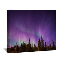 The Amazing Night Skies Over Yellowknife Northwest Territories Of Canada Putting On An Aurora Borealis Show Wall Art 98360236