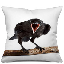 The Bird Pillows 42362123