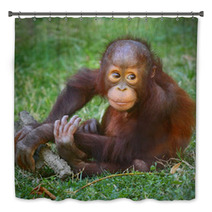 The Bornean Orangutan (Pongo Pygmaeus). Bath Decor 57924769