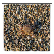 The Brown Crab Bath Decor 100292232