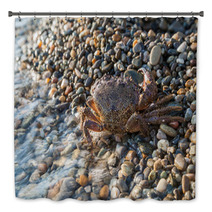 The Brown Crab Bath Decor 100292242
