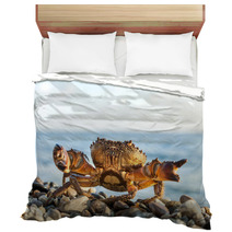 The Brown Crab Bedding 100292211