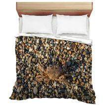 The Brown Crab Bedding 100292232