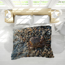 The Brown Crab Bedding 100292242