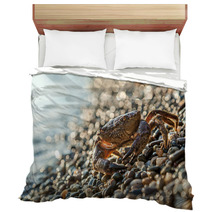 The Brown Crab Bedding 100292255