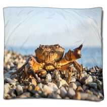 The Brown Crab Blankets 100292216