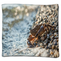 The Brown Crab Blankets 100292260
