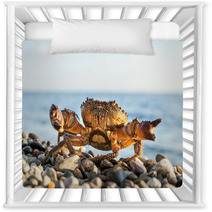 The Brown Crab Nursery Decor 100292211