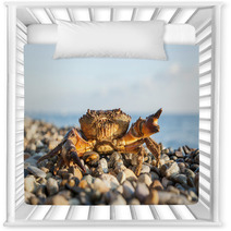 The Brown Crab Nursery Decor 100292216