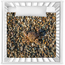 The Brown Crab Nursery Decor 100292232